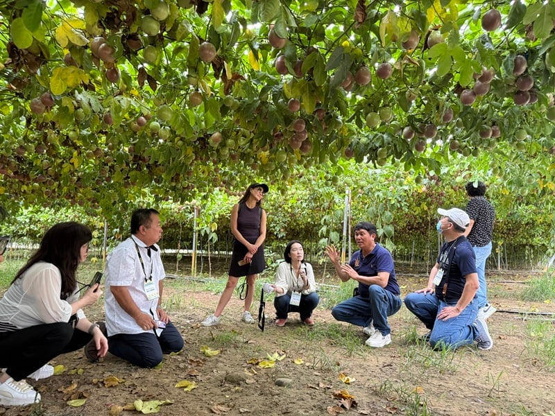 3-6-7-5.台南熱帶水果及農產品國際採購日